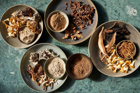 The Ultimate Guide to the Health Benefits of Dried Organic Medicinal Mushroom Powder