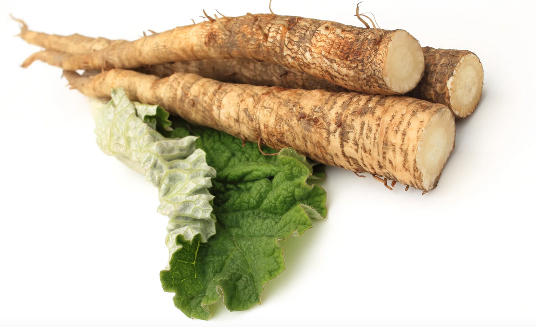 Burdock Root Tincture: Unearth the Health Secrets of Nature's Detoxifier