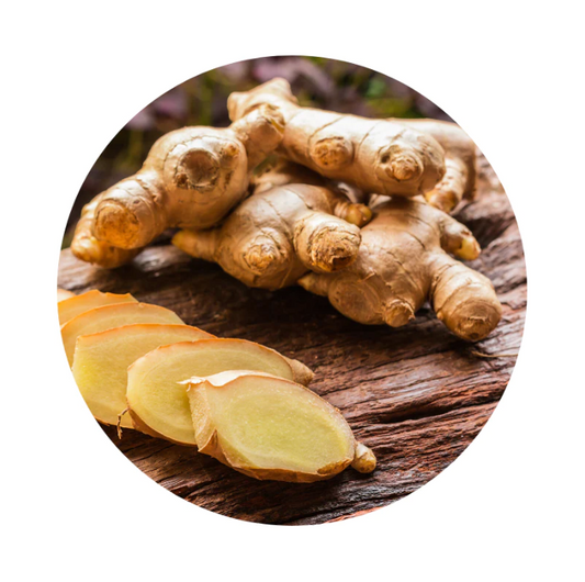 Ginger Root Tincture: Unleashing Nature's Golden Elixir for Holistic Wellness