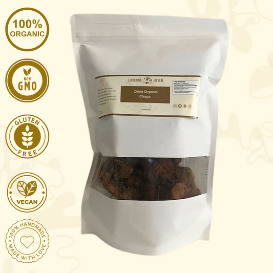 Dried Organic Chaga Conks