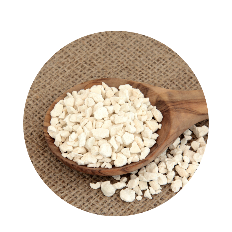 Dried Organic Poria Cocos