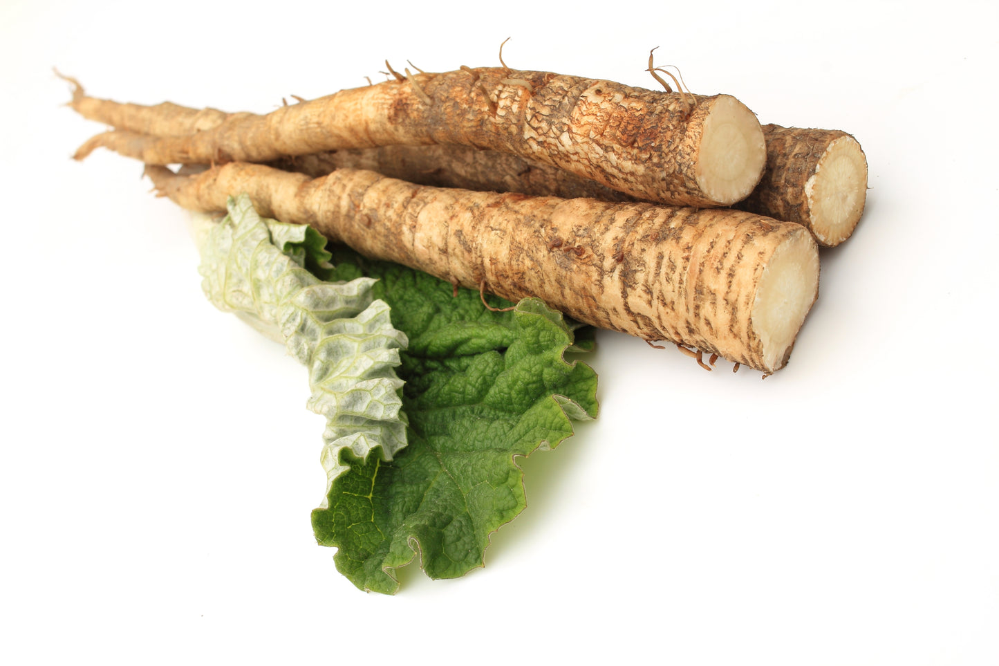 Burdock Root Tincture